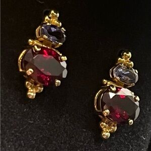 14k Yellow Gold Rubellite Tourmaline and Iolite Drop Earrings